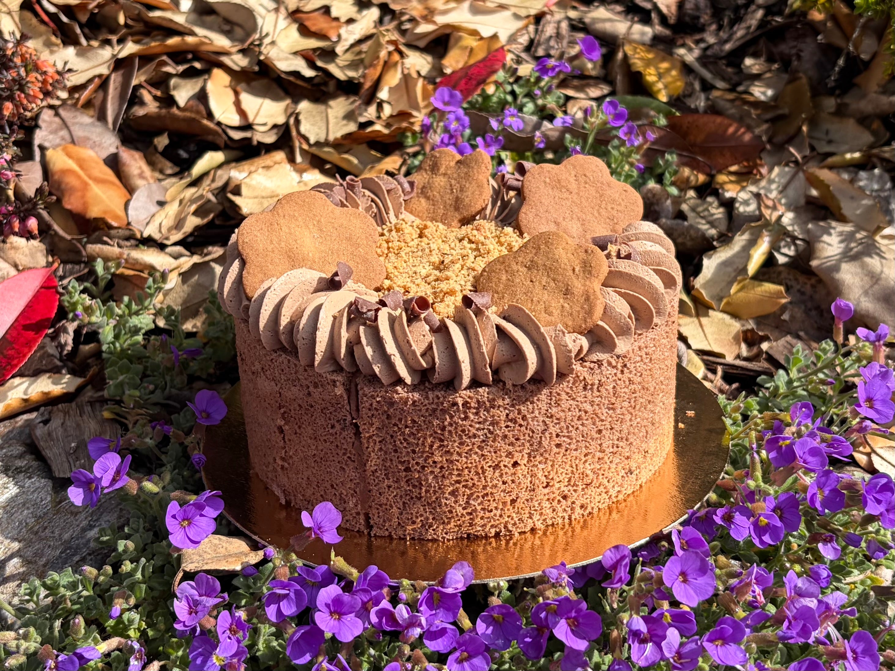 Entremet Choconut